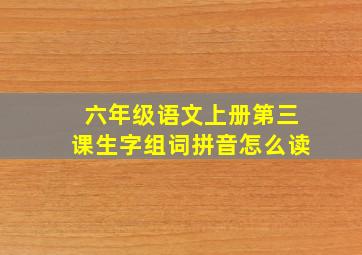 六年级语文上册第三课生字组词拼音怎么读