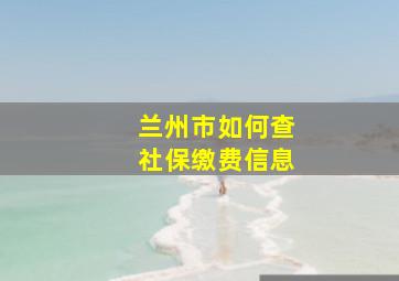 兰州市如何查社保缴费信息