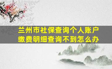 兰州市社保查询个人账户缴费明细查询不到怎么办