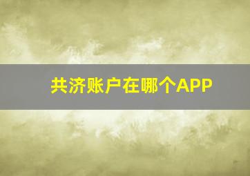 共济账户在哪个APP