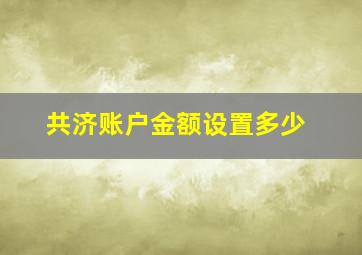 共济账户金额设置多少