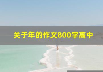 关于年的作文800字高中