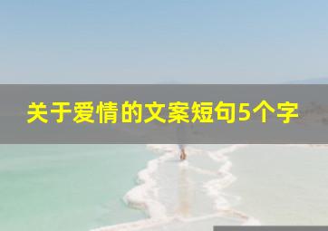 关于爱情的文案短句5个字