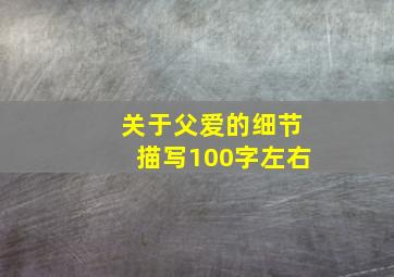 关于父爱的细节描写100字左右