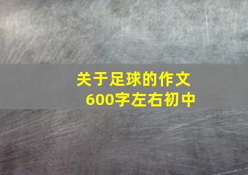 关于足球的作文600字左右初中