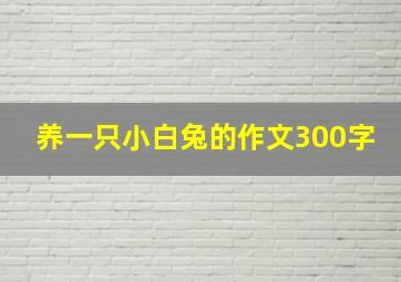 养一只小白兔的作文300字