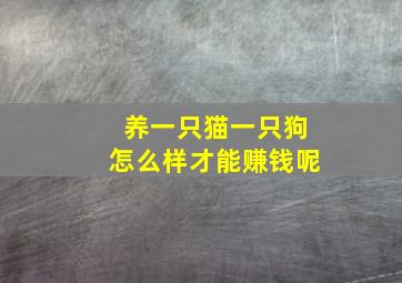 养一只猫一只狗怎么样才能赚钱呢