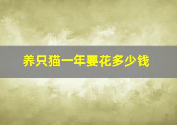 养只猫一年要花多少钱