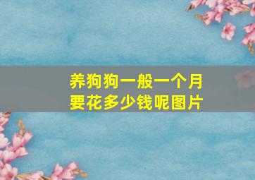 养狗狗一般一个月要花多少钱呢图片