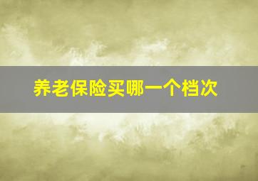 养老保险买哪一个档次