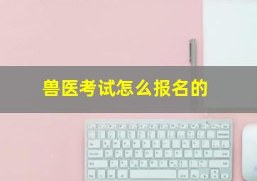 兽医考试怎么报名的