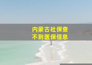 内蒙古社保查不到医保信息