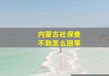 内蒙古社保查不到怎么回事