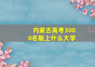 内蒙古高考3000名能上什么大学