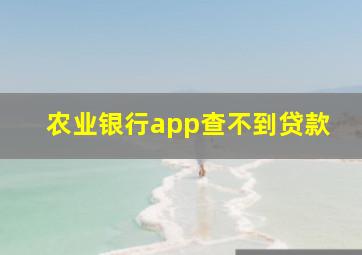 农业银行app查不到贷款