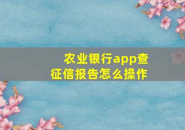 农业银行app查征信报告怎么操作