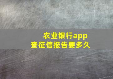 农业银行app查征信报告要多久