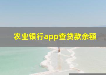 农业银行app查贷款余额