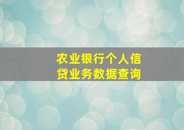 农业银行个人信贷业务数据查询