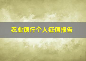 农业银行个人征信报告