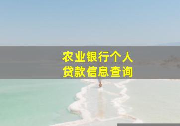 农业银行个人贷款信息查询