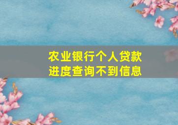 农业银行个人贷款进度查询不到信息