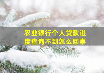 农业银行个人贷款进度查询不到怎么回事