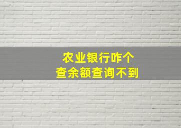 农业银行咋个查余额查询不到