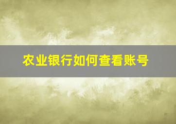 农业银行如何查看账号