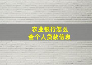 农业银行怎么查个人贷款信息