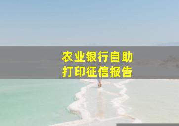 农业银行自助打印征信报告