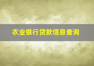 农业银行贷款信息查询