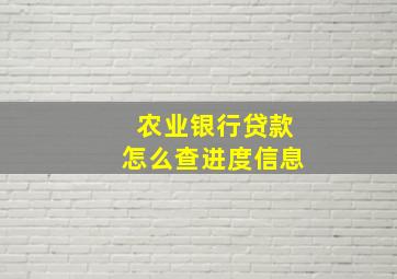 农业银行贷款怎么查进度信息