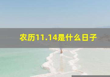 农历11.14是什么日子