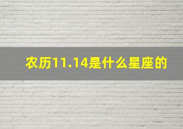 农历11.14是什么星座的