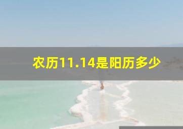 农历11.14是阳历多少