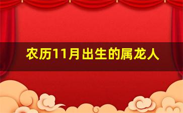 农历11月出生的属龙人