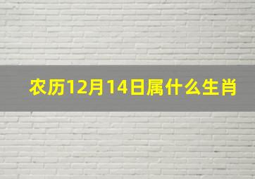 农历12月14日属什么生肖