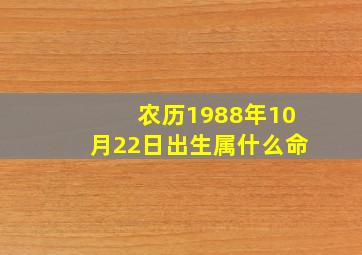 农历1988年10月22日出生属什么命