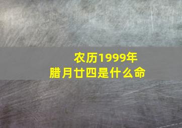 农历1999年腊月廿四是什么命