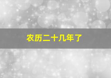 农历二十几年了