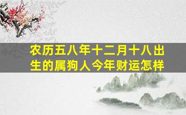 农历五八年十二月十八出生的属狗人今年财运怎样