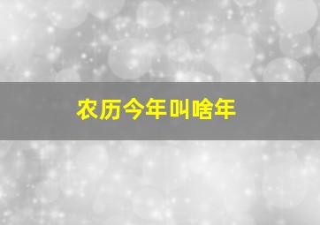 农历今年叫啥年