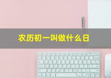 农历初一叫做什么日