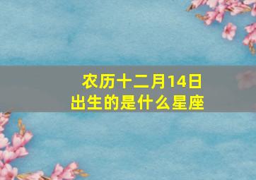 农历十二月14日出生的是什么星座