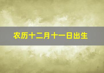 农历十二月十一日出生