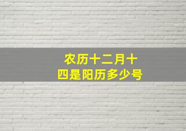 农历十二月十四是阳历多少号