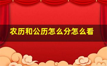 农历和公历怎么分怎么看