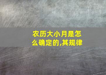 农历大小月是怎么确定的,其规律