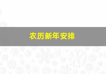 农历新年安排